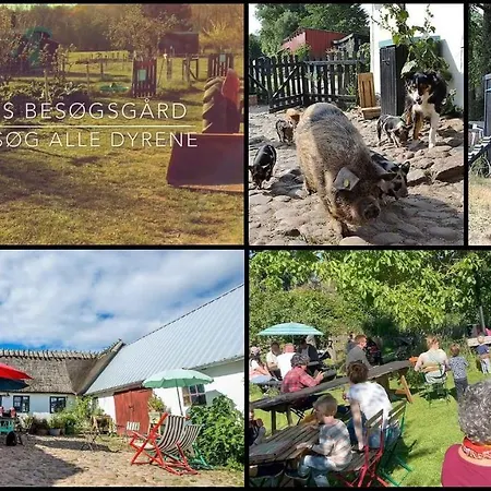 Large Holiday In A Peaceful And Scenic Area Hundested